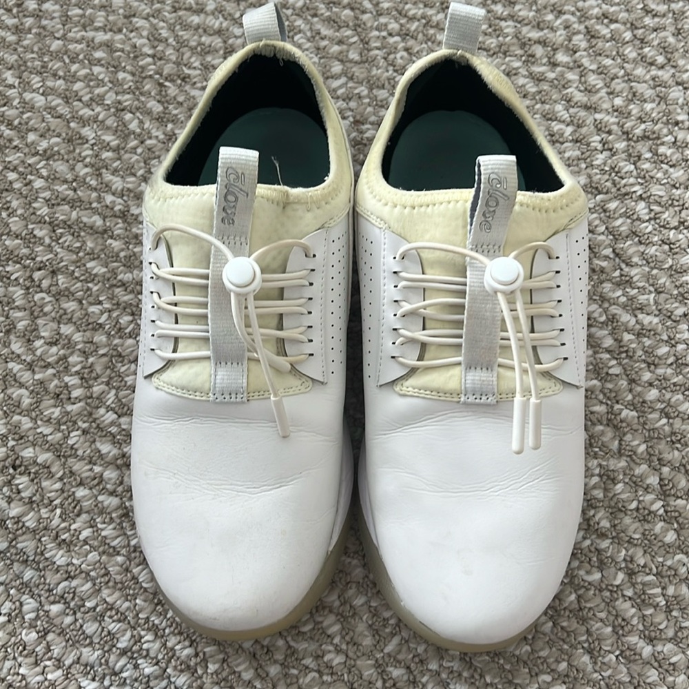 Clove leather shoes